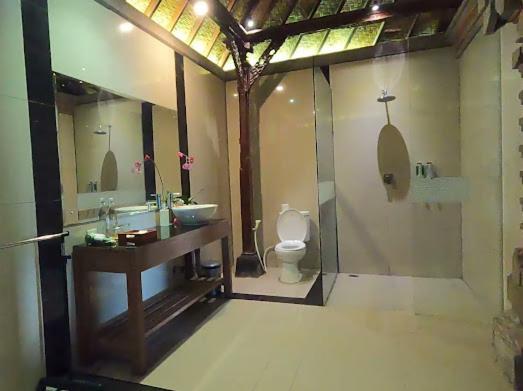 Patal Kikian 3* Sidemen (Bali)
