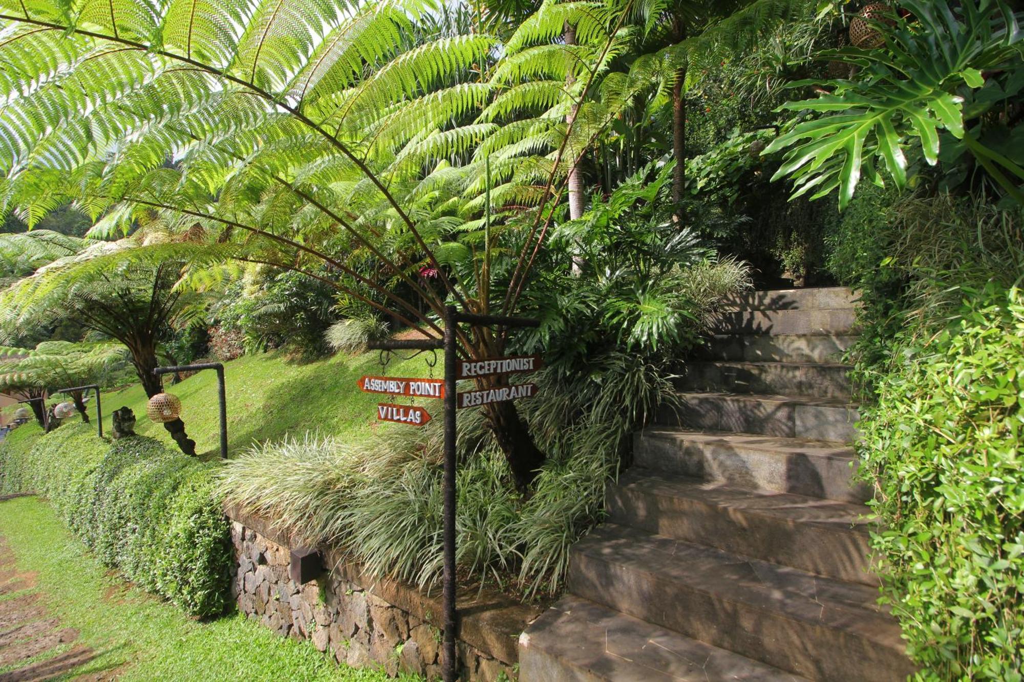 Patal Kikian 3* Sidemen (Bali)